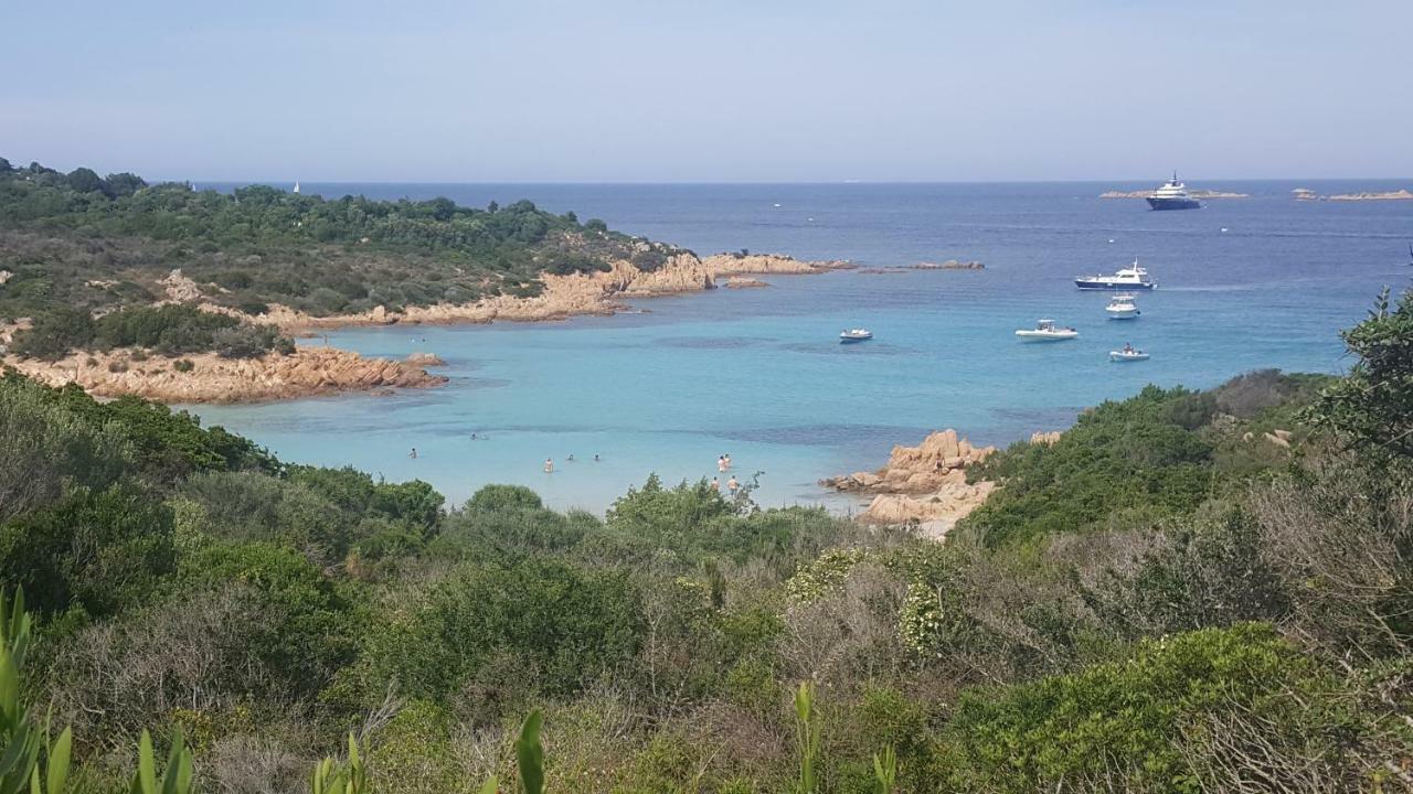 Home Of Fame - Home Gallery With Fully Equipped Kitchen, Separate Entrance, Free Parking Olbia Exteriér fotografie